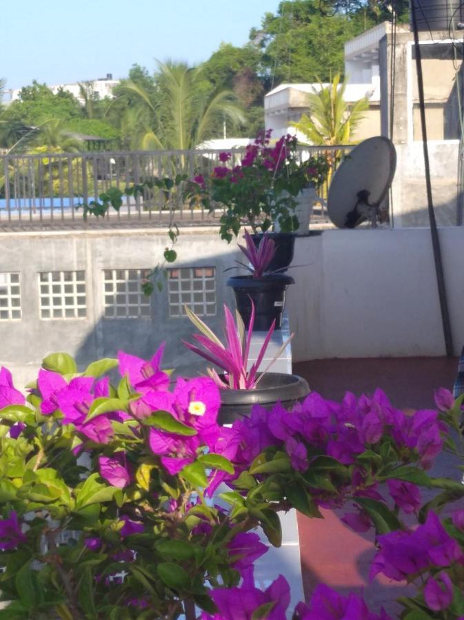 Sun Ocean Inn Mirissa Bagian luar foto